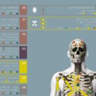 Angewandte Kinesiologie Diagramm von educare.design