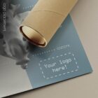 Spinal Nerves Function anatomy chart for clinics