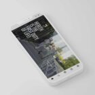 The Big Social Package anatomy chart for clinics