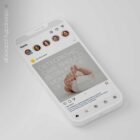 The Big Social Package anatomy chart for clinics