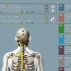 Angewandte Kinesiologie Diagramm von educare.design
