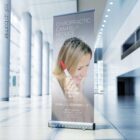 Pregnancy and Chiropractic anatomy chart for clinics