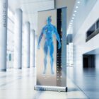 Meridian Channels. Anatomy and physiology artwork from educare.design