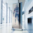 Arthrose. Dessin d'anatomie et de physiologie d'educare.design