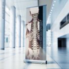 Postural Assessment and Scoliosis anatomy chart for clinics