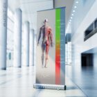 Treatment Plan (Road-to-Recovery) anatomy chart for clinics