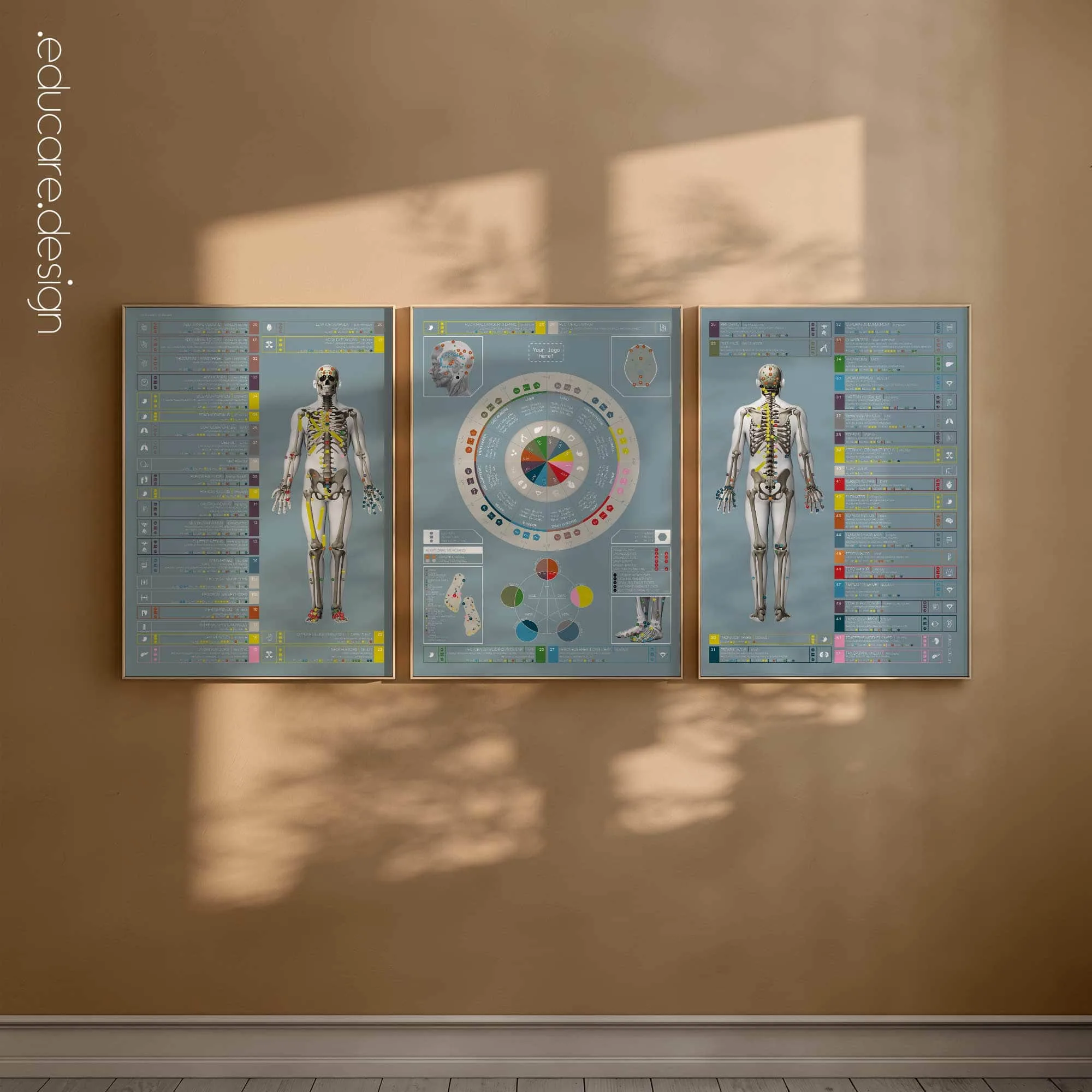 Angewandte Kinesiologie Diagramm von educare.design