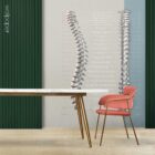 Spinal Nerves Function anatomy chart for clinics