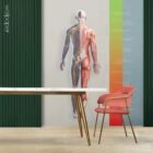 Treatment Plan (Road-to-Recovery) anatomy chart for clinics