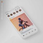 The Big Social Package anatomy chart for clinics