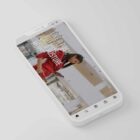 The Big Social Package anatomy chart for clinics