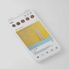 The Big Social Package anatomy chart for clinics