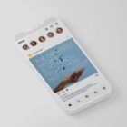 The Big Social Package anatomy chart for clinics