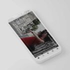 The Big Social Package anatomy chart for clinics