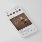 The Big Social Package anatomy chart for clinics