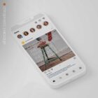 The Big Social Package anatomy chart for clinics