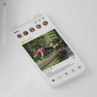 The Big Social Package anatomy chart for clinics