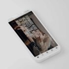 The Big Social Package anatomy chart for clinics