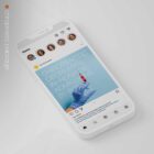 The Big Social Package anatomy chart for clinics