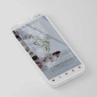 The Big Social Package anatomy chart for clinics