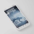 The Big Social Package anatomy chart for clinics