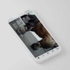 The Big Social Package anatomy chart for clinics