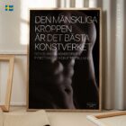 Män är Konst anatomidiagram för kliniker