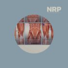 NRP: Neurolymphatic Reflex Points anatomy chart for clinics