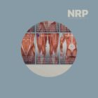 NRP: Neurolymphatic Reflex Points anatomy chart for clinics