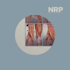 NRP: Neurolymphatic Reflex Points anatomy chart for clinics