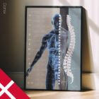 Det Autonome Nervesystem anatomidiagram til klinikker