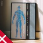 Meridian Channels. Anatomy and physiology artwork from educare.design