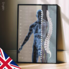 Autonomic Nervous System anatomy chart for clinics