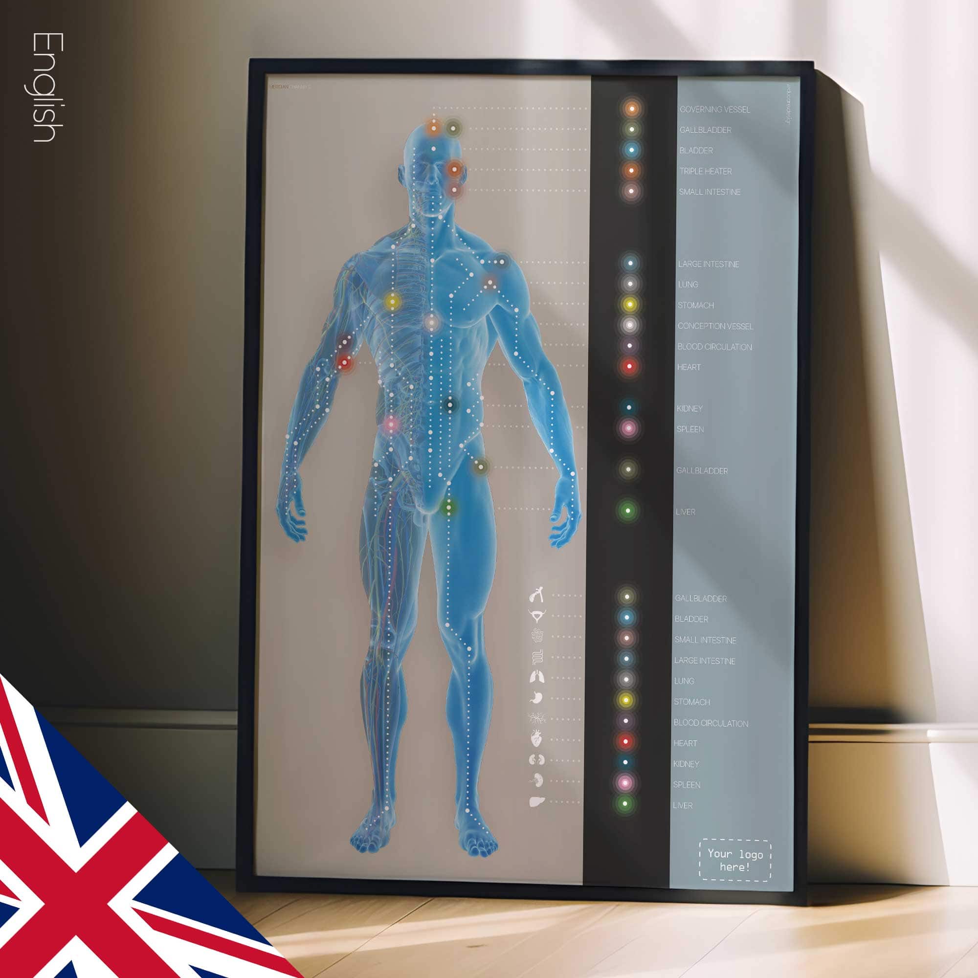Meridian Channels. Anatomy and physiology artwork from educare.design