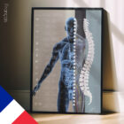 Système Nerveux Autonome planche anatomique pour cabinets et cliniques