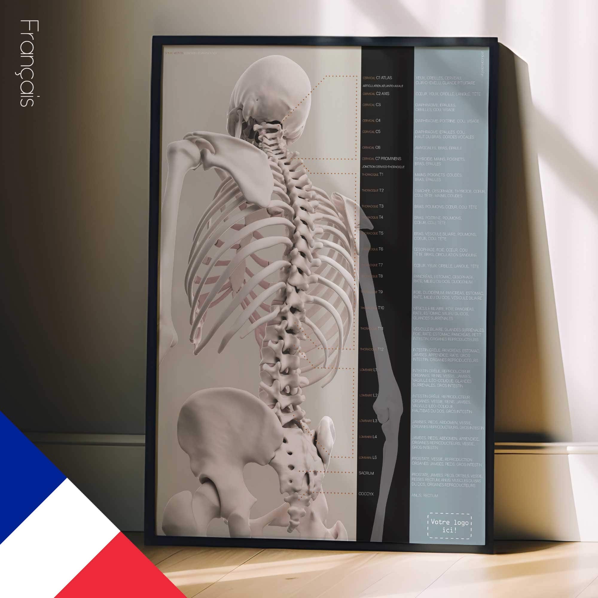 Wirbelsäulenbewegung und kontrollierte Physiologie. Bildungsdesign im Gesundheitswesen von educare.design