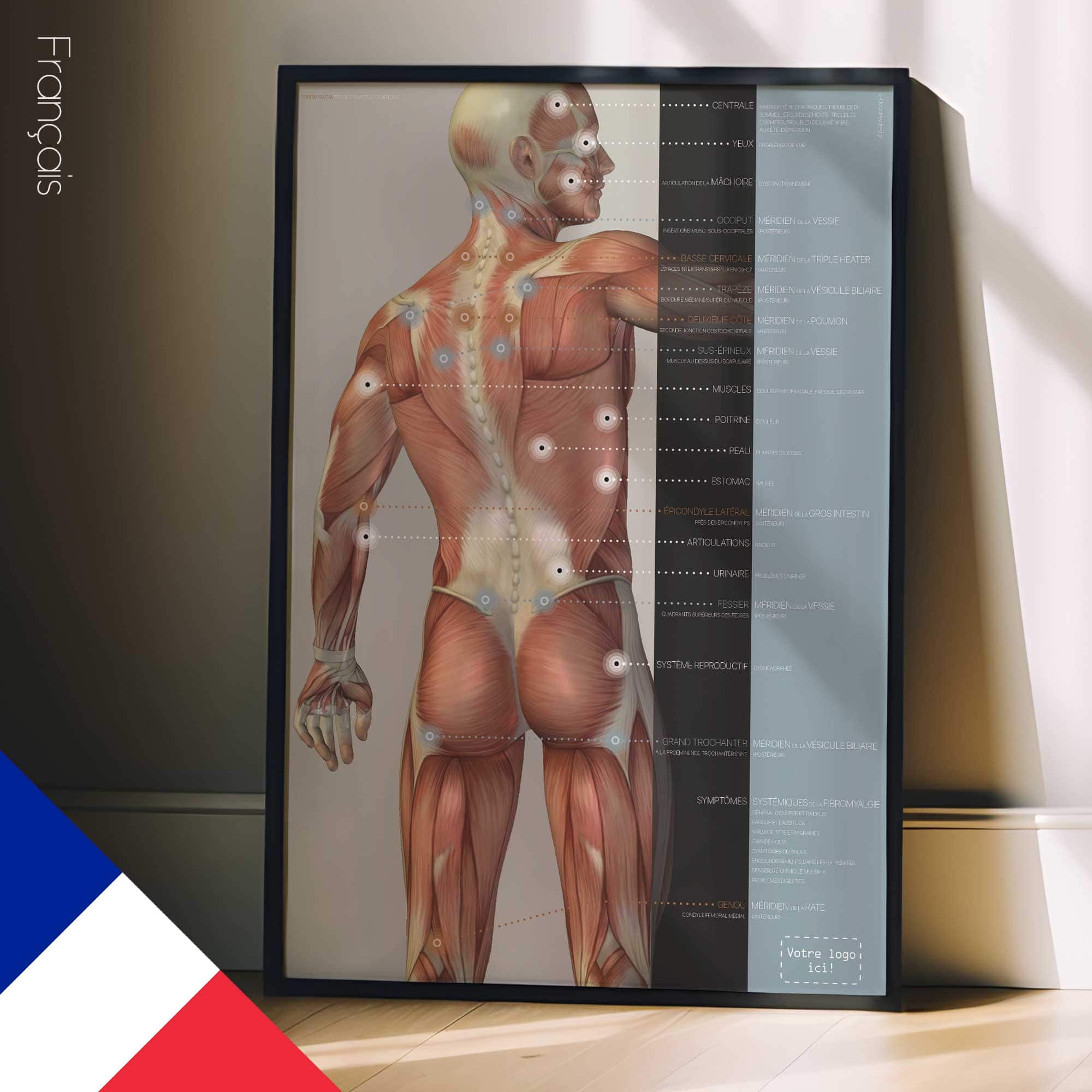 Fibromyalgia; Tender Points & Symptoms. Anatomy and physiology artwork from educare.design