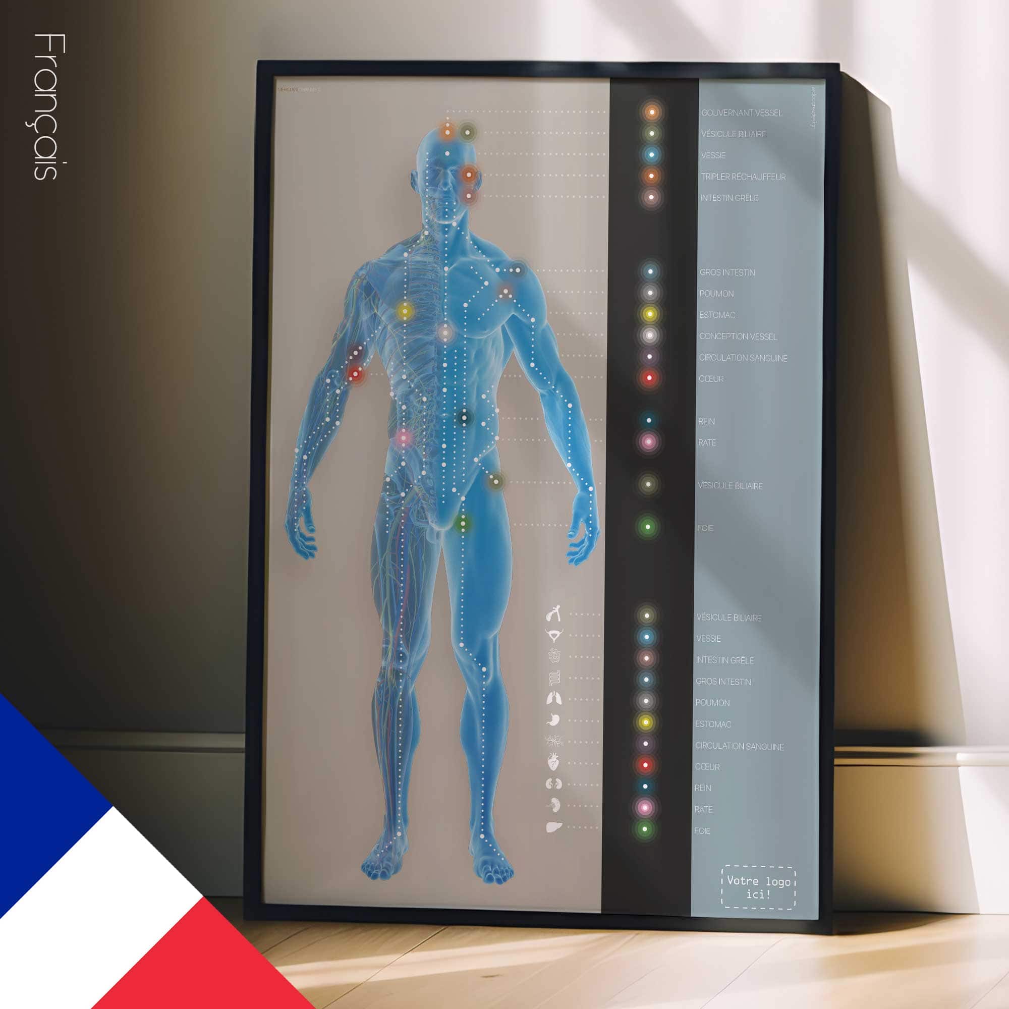 Meridian Channels. Anatomy and physiology artwork from educare.design