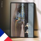 Sciatica and stenosis artwork from educare.design