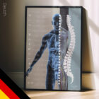 Vegetatives Nervensystem Anatomie-Chart für Praxen und Kliniken