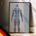 Kreislauf- und Nervensystem Anatomie-Chart für Praxen und Kliniken