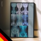 Fehlstellung Anatomie-Chart für Praxen und Kliniken