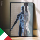Sistema Nervoso Autonomo tavola anatomica per studi e cliniche