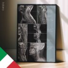 Patologia Cervicale tavola anatomica per studi e cliniche