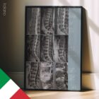 Patologia Lombare tavola anatomica per studi e cliniche