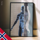 Det Autonome Nervesystemet anatomidiagram for klinikker