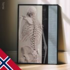 Wirbelsäulenbewegung und kontrollierte Physiologie. Bildungsdesign im Gesundheitswesen von educare.design