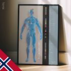 Meridian Channels. Anatomy and physiology artwork from educare.design