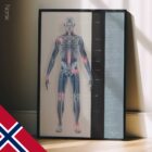 Arthrose. Dessin d'anatomie et de physiologie d'educare.design