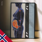 Pregnancy & Postural Changes